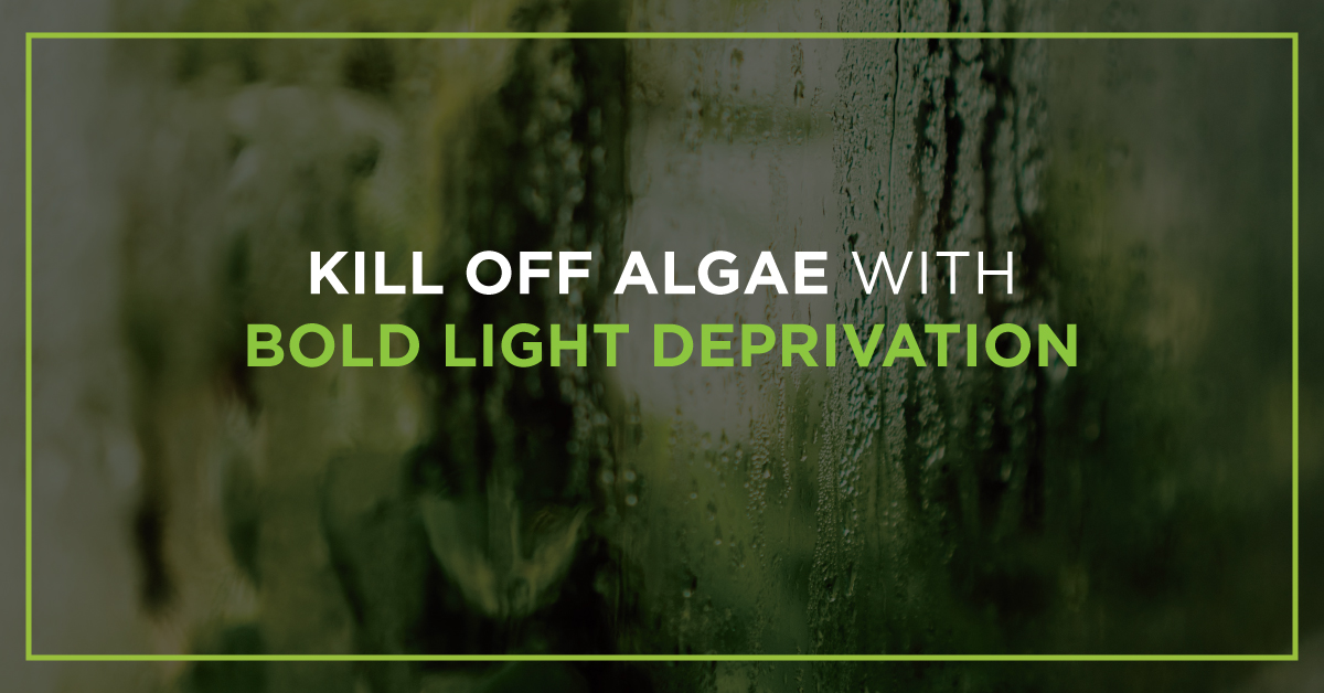Use BOLD Light Deprivation To Kill Off Algae