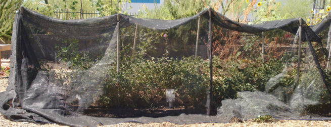 Shade cloth cover