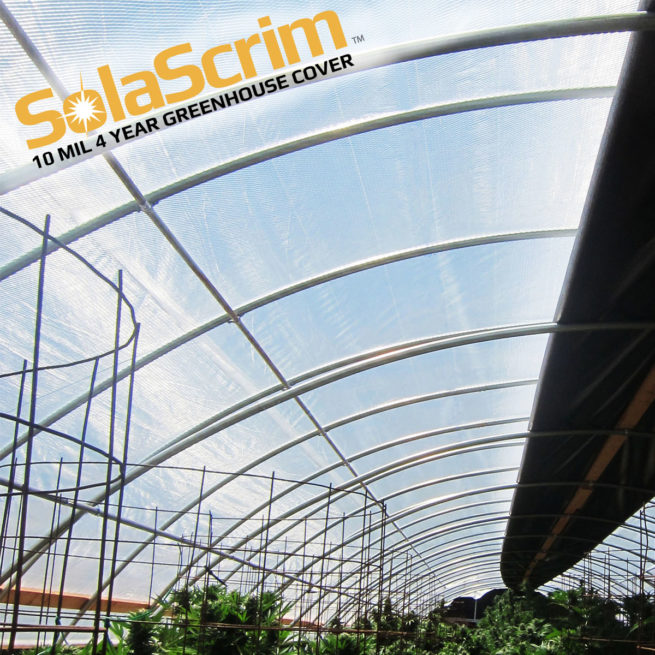 SolaScrim™ 4 Year 10 mil Clear Reinforced Greenhouse Cover - Image 3