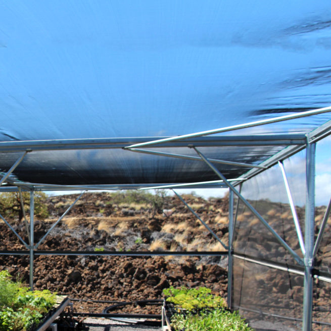 Shade Cloth - Image 11