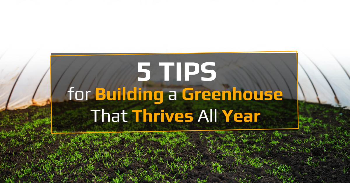 5 Tips for Building a Greenhouse That Thrives All Year