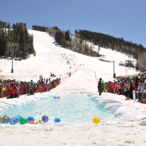 Pond Skimming Liners