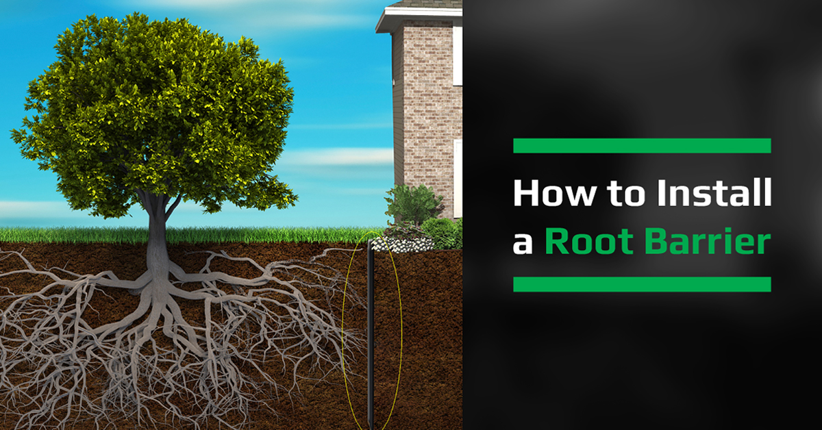 How to Install a Root Barrier