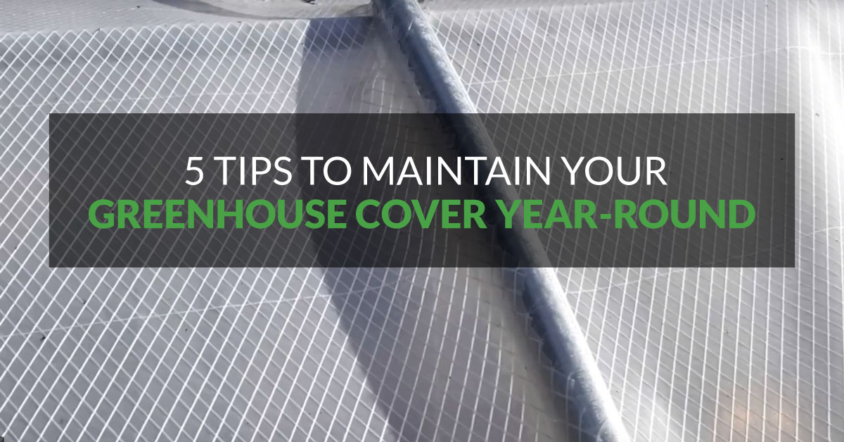 5 Tips to Maintain Your Greenhouse Cover Year-Round