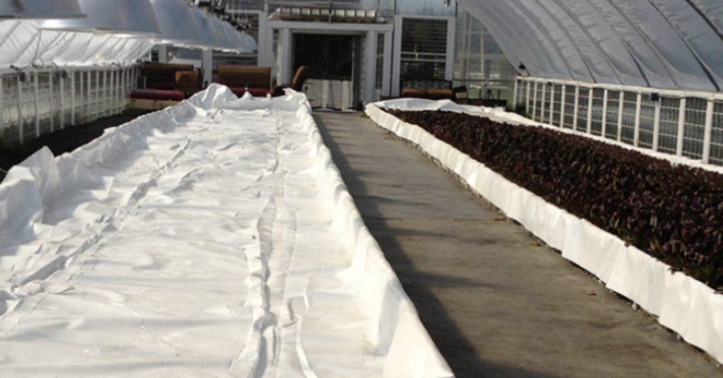 A plastic sheet shown in a greenhouse for hydroponics use