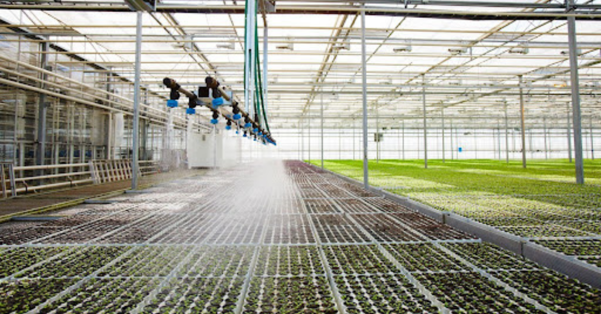 Americover Blogs - Substainable irrigation