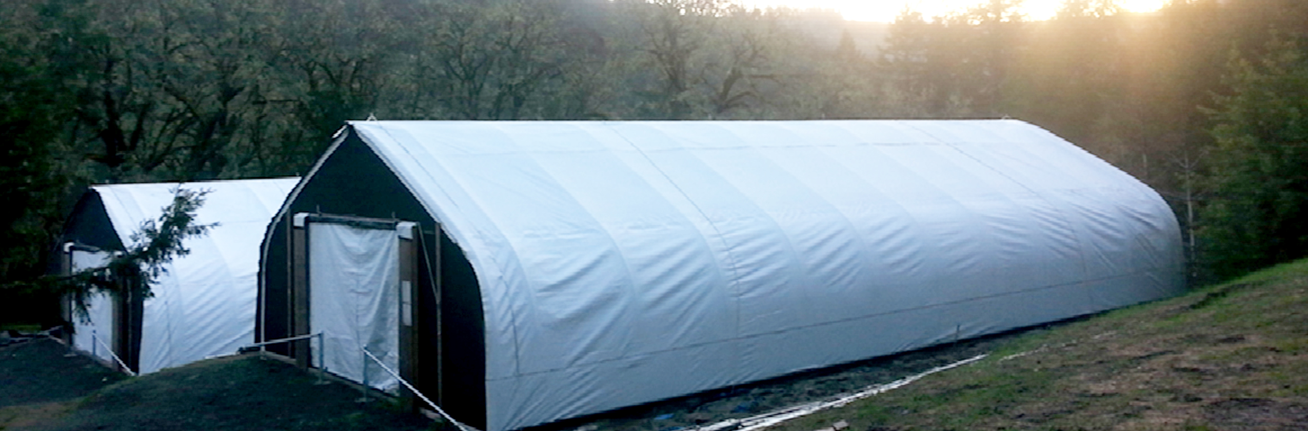 Bold light deprivation in an automatic light dep system on a greenhouse