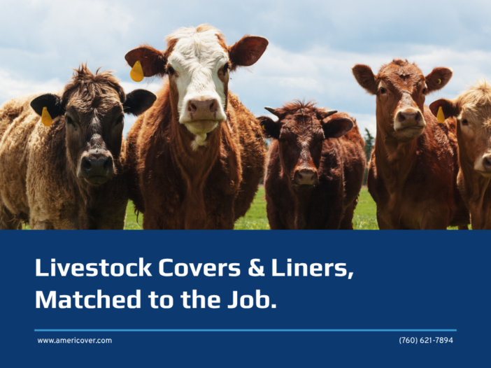 Herd of red and white-faced cattle with yellow ear tags in a green pasture, above the title “Livestock Covers & Liners, Matched to the Job.”