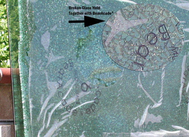 Broken Glass Contained with BearAcade