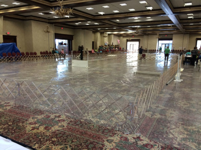 Carpet Protection for a Dog Show