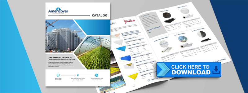 download the americover catalog
