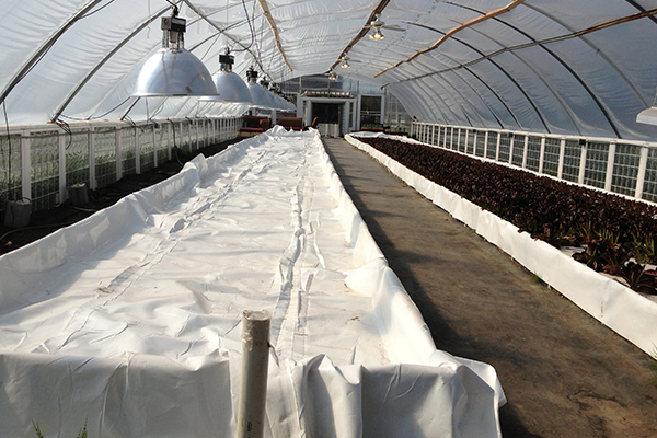 greenhouse - reinforced plastic sheeting