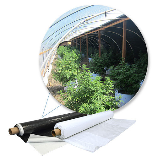 Greenhouse Plastic Sheeting