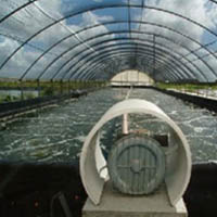 HDPE-shrimp-liner