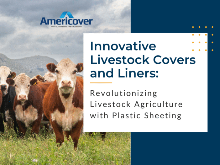 Image of livestock
