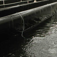 LLDPE-shrimp-liner