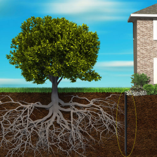 Root Barrier in the ground to stop roots