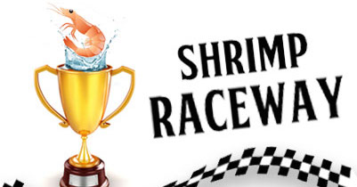 Shrimp Raceway