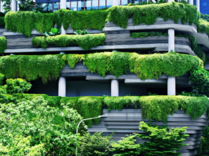 Green Roof Waterproofing