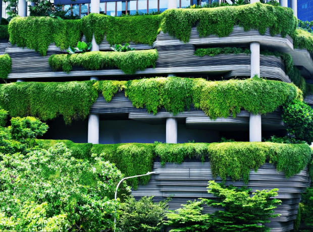 Green Roof Waterproofing