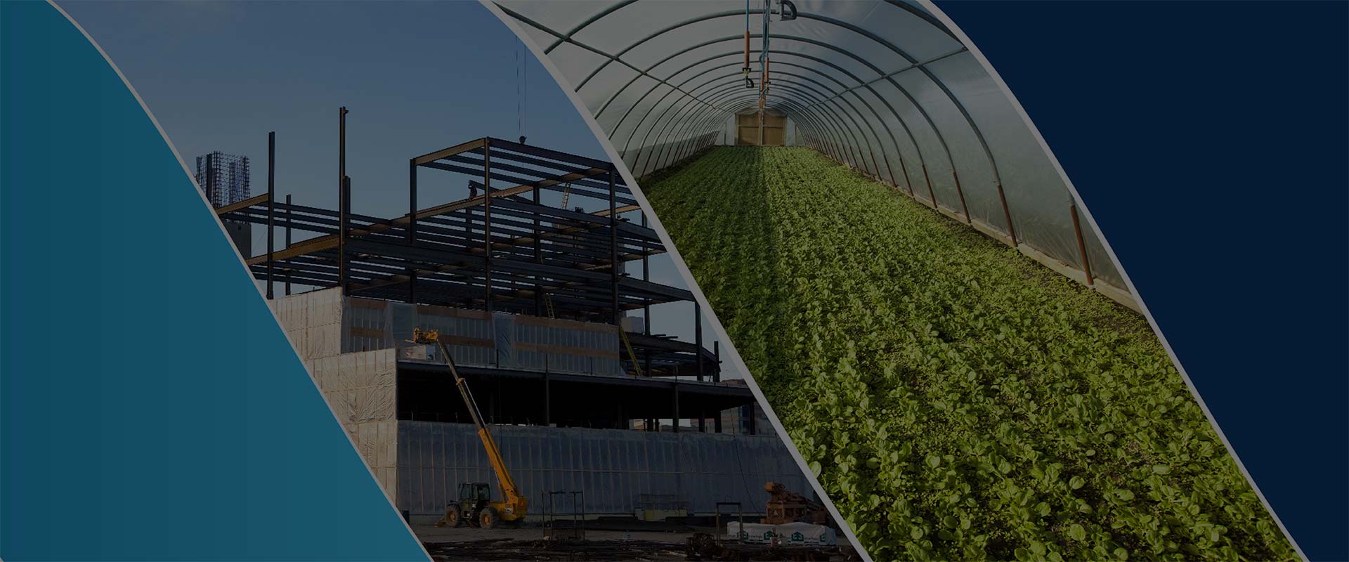 Americover Plastic Sheeting for Construction and Horticulture
