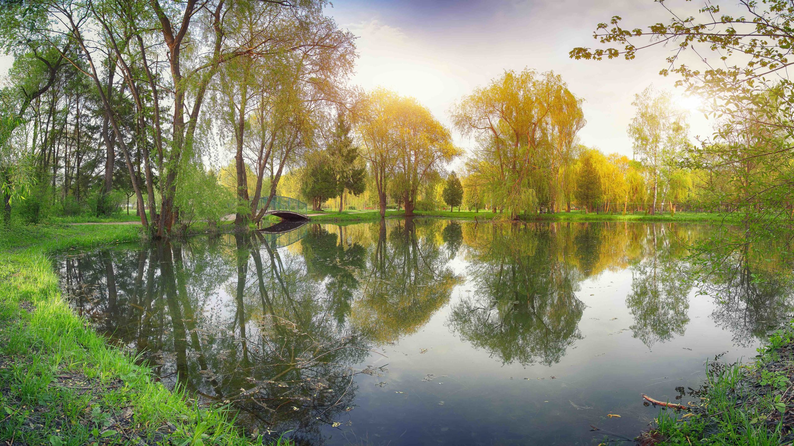 Retention Ponds