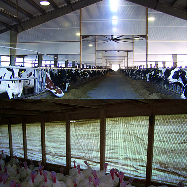 Plastic Sheeting Poultry Curtains