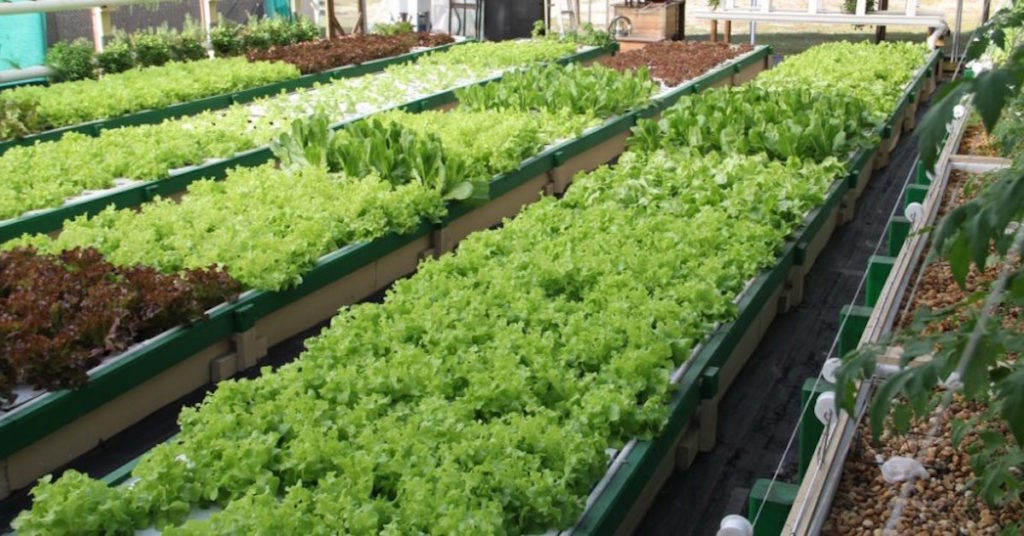 aquaponic trough liner