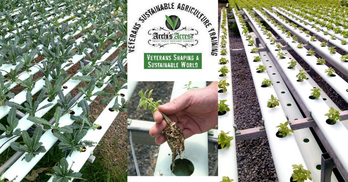 Small Scale Organic Farming