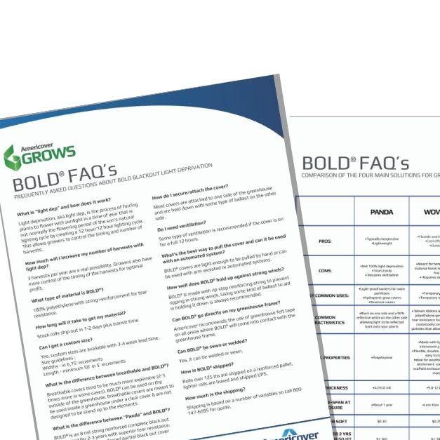 bold-faqs