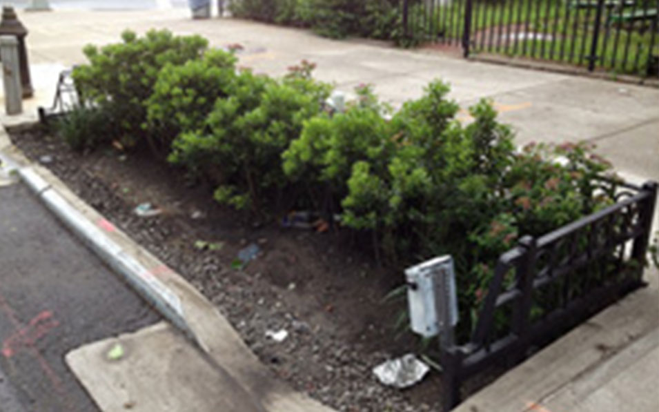 Bioswales collects stormwater