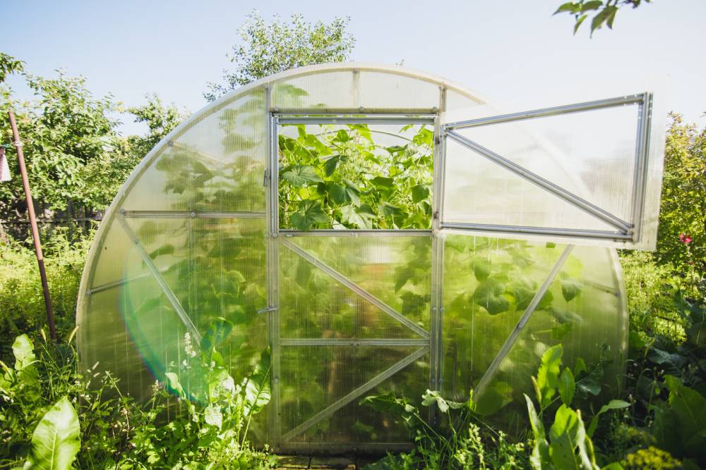 greenhouse cover thickness