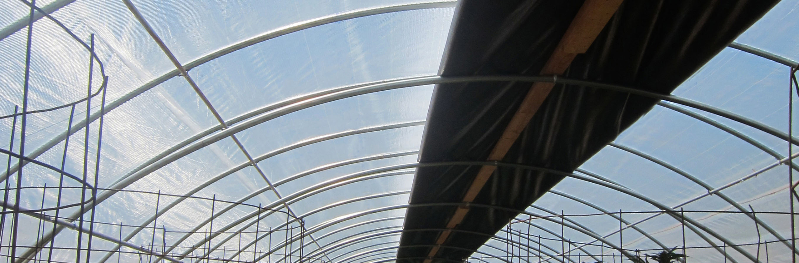 Bold and SolaScrim on a hoop house
