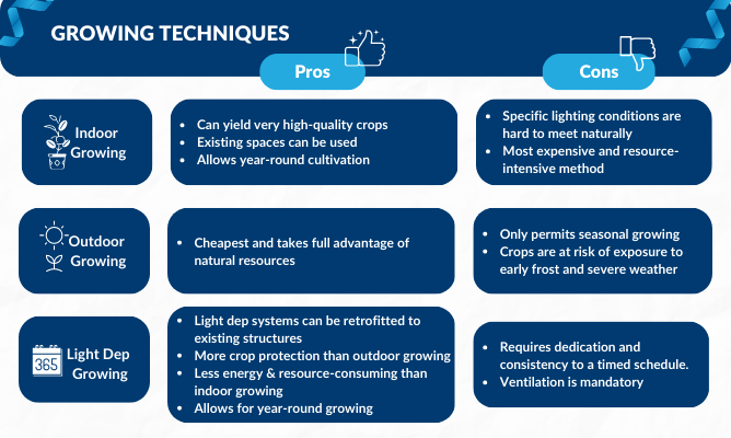 Which is the Best Method for Growing Cannabis?