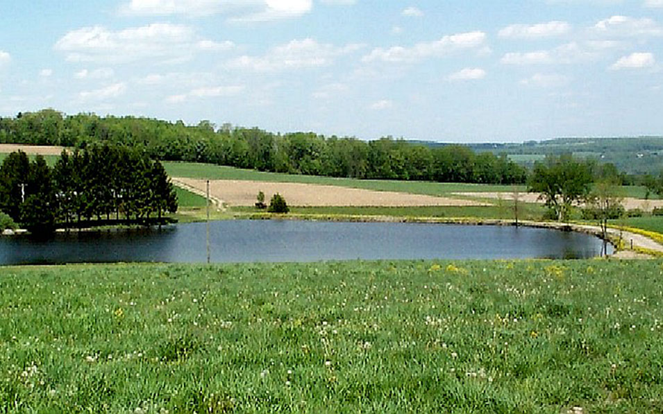Pond liners with woven coated reinforced poly