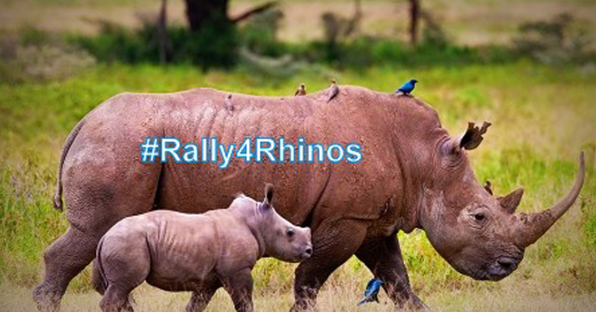 Rally for Rhinos