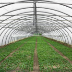 greenhouse covers