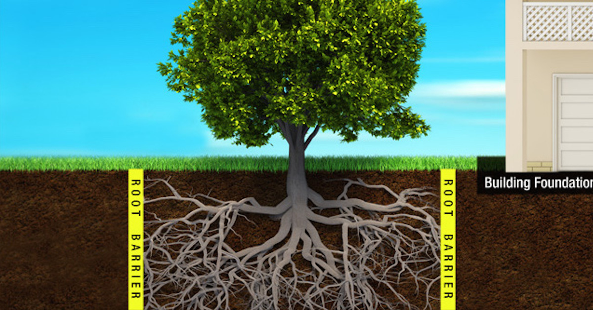 root barrier