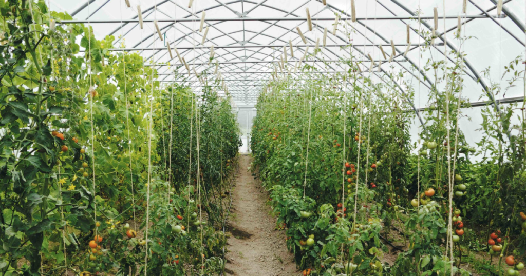 string reinforced plastic sheeting